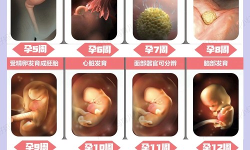 【孕妇b超评分】孕妇b超频率 - 孕妇b超pi网